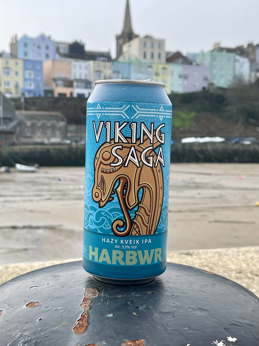 VIKING SAGA - Image 3