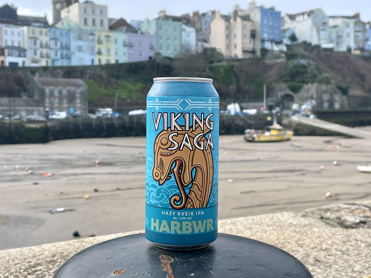 VIKING SAGA - Image 2