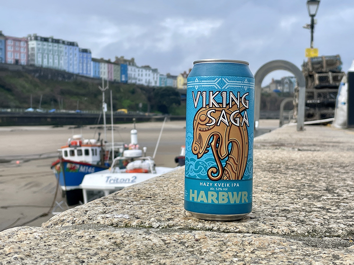 VIKING SAGA - Image 4